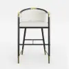 Cranis Beige Velvet Counter Stool with Upholstered, 6 Pieces
