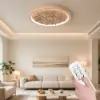French Elegant Natural Resin 3D Carved LED 3-Mode Dimmable Flush Mount Ceiling Light – Modes