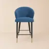Arcora Blue Velvet Counter Stool with Upholstered, 1 Piece