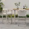Tevara Outdoor Aluminium Frame & Teak Wood Armrest Bar Stools in Sand, Set of 2