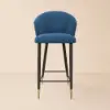 Arcora Blue Velvet Bar Stool with Upholstered, 1 Piece