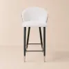 Arcora White Velvet Bar Stool with Upholstered, 1 Piece