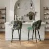 Arcora Green Bar Counter Stool with Upholstered, 1 Piece