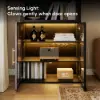 Arune Black Chest Bookcase with Storage Cabinet & LED Light