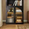 Arune Black Chest Bookcase with Storage Cabinet & LED Light
