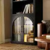 Arune Black Chest Bookcase with Storage Cabinet & LED Light