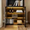 Arune Black Chest Bookcase with Storage Cabinet & LED Light