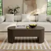 Modern 47" Oval Lift Top Mid-Century Coffee Table