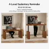 Aura 63" Walnut Fluted Electric Adjustable Standing Desk
