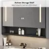 100cm Black Floating Bathroom Vanity Set with LED Mirror Cabinet – AUD-H2874