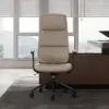 Ergonomic Grey Genuine Leather High Back Reclining Swivel Office Desk Chair