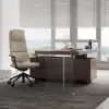 Ergonomic Grey Genuine Leather High Back Reclining Swivel Office Desk Chair