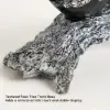 Swan Couple Resin Sculpture in Black & Silver for Home Table Decor