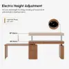 Aura 63" Walnut Fluted 360-Degree Rotating Electric Adjustable Standing Desk