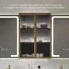 59" Black LED Mirror Cabinet with Centre Storage, 3-Colour Dimmable & Defogger