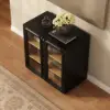 31" Ash Wood Veneer TV Stand with Glass Doors, Chest Cabinet and LED