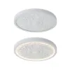 French Elegant White Resin 3D Carved LED 3-Mode Dimmable Flush Mount Ceiling Light