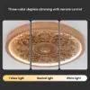 French Elegant Natural Resin 3D Carved LED 3-Mode Dimmable Flush Mount Ceiling Light