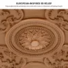 French Elegant Natural Resin 3D Carved LED 3-Mode Dimmable Flush Mount Ceiling Light