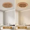 French Elegant Natural Resin 3D Carved LED 3-Mode Dimmable Flush Mount Ceiling Light