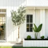 8 ft. Artificial Olive Tree with Planter and Decorative Pebbles