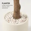 8 ft. Artificial Olive Tree with Planter and Decorative Pebbles