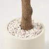 8 ft. Artificial Olive Tree with Planter and Decorative Pebbles