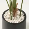 6 ft. Artificial Areca Palm Tree with Planter and Decorative Stones