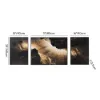 3-Piece Framed Abstract Canvas Wall Art Set with Black Aluminium Frames