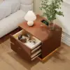 Haloa Walnut 2-Drawer LED Nightstand with Charging Station
