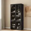 Arune Black Glass Tall Display Cabinet with Drawers & LED Light