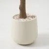7ft Artificial Olive Tree with Planter and Decorative Pebbles