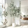 6 ft. Artificial Olive Tree with Planter and Decorative Pebbles