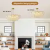 Cloude 100 cm 12-Light Glass Chandelier with Bulbs & Adjustable Height