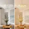 Cloude 100 cm 12-Light Glass Chandelier with Bulbs & Adjustable Height