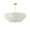 Cloude 100 cm 12-Light Glass Chandelier with Bulbs & Adjustable Height