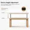 Aura 63" Fluted Electric Standing Desk