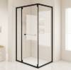 Picture of Narrow Frame Stainless Steel Square Corner Shower Enclosure, Wet and Dry Separation Screen