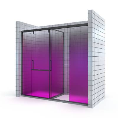 Custom T-Shape Dual Use Door Glass Partition, Stainless Steel Frame Sliding Shower