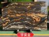 Picture of Brazilian Cosmic Gold Natural Marble for Villa Feature Walls, Stairs, Kitchen Islands and Clubs