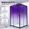 Picture of Custom Square Pivot Door Shower Enclosure, Precision Cast Stainless Steel, Art Glass
