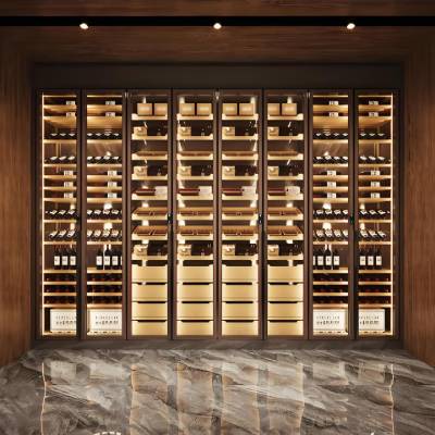 Modern Stainless Steel Temperature Controlled Wine Cabinet and Cigar Display Cabinet