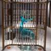 Picture of Modern Reeded Glass Screen Partition with Stainless Steel Frame for Entryways and Living Rooms