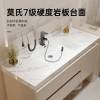 Picture of Stainless Steel Vanity with Sintered Stone Top and Seamless Ceramic Basin