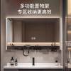 Picture of Customisable Stainless Steel Bathroom Vanity with Mirror Cabinet and Integrated Ceramic Basin