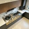Picture of Stainless Steel Double Burner High Flame Wok Cooktop with Fan, Natural Gas, Energy Saving