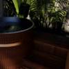 Picture of Customisable Outdoor Multifunctional Sauna Cabin with Changing Room and Ice Bath, Dry Sauna, Carbonised Spruce