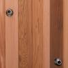 Picture of Caisheng Sauna Cold Plunge Tub, Customisable 304 Stainless Steel Liner, Red Cedar Skirt, Minimalist