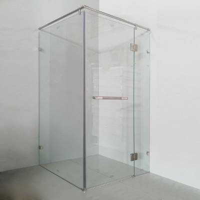 Custom 304 Stainless Steel Self-Closing Hinge Frameless Swing Door Shower Enclosure