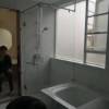 Picture of Custom 304 Stainless Steel Self-Closing Hinge Frameless Swing Door Shower Enclosure